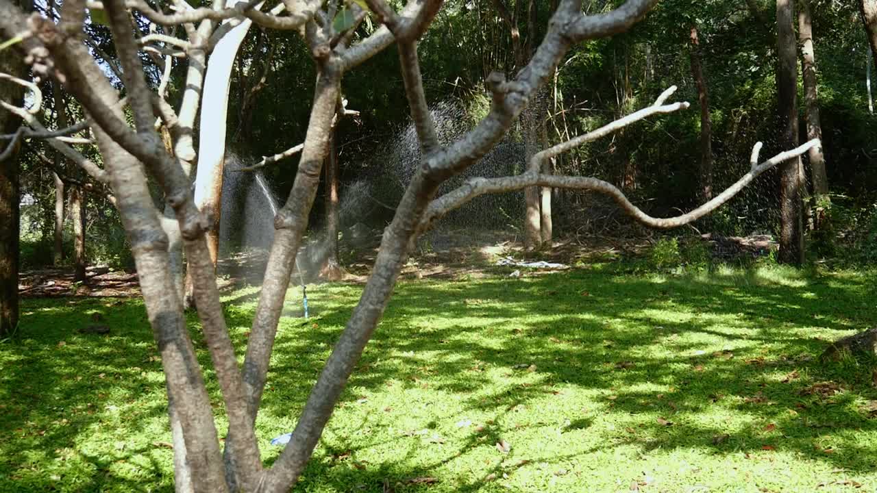 慢镜头拍摄在早晨有阳光的公园里浇草，供水的概念。视频素材