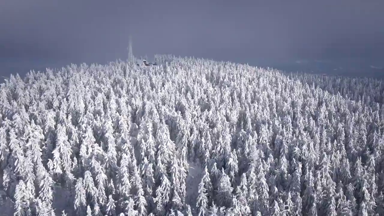 日落时山上积雪森林的鸟瞰图视频素材