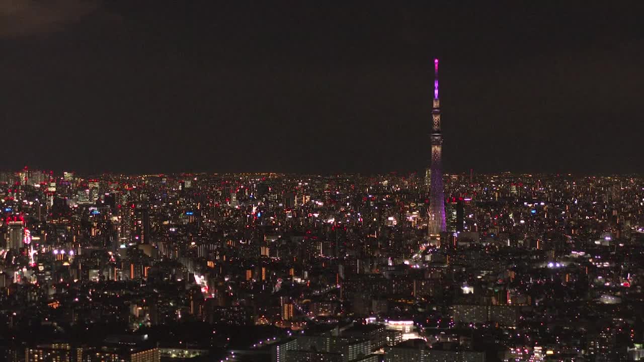 空中，东京的夜晚，日本视频素材