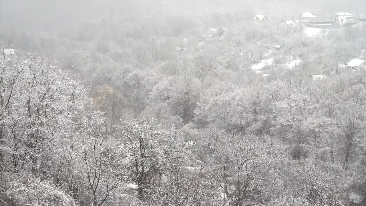 一场暴风雪过后，树木被雪覆盖。视频素材