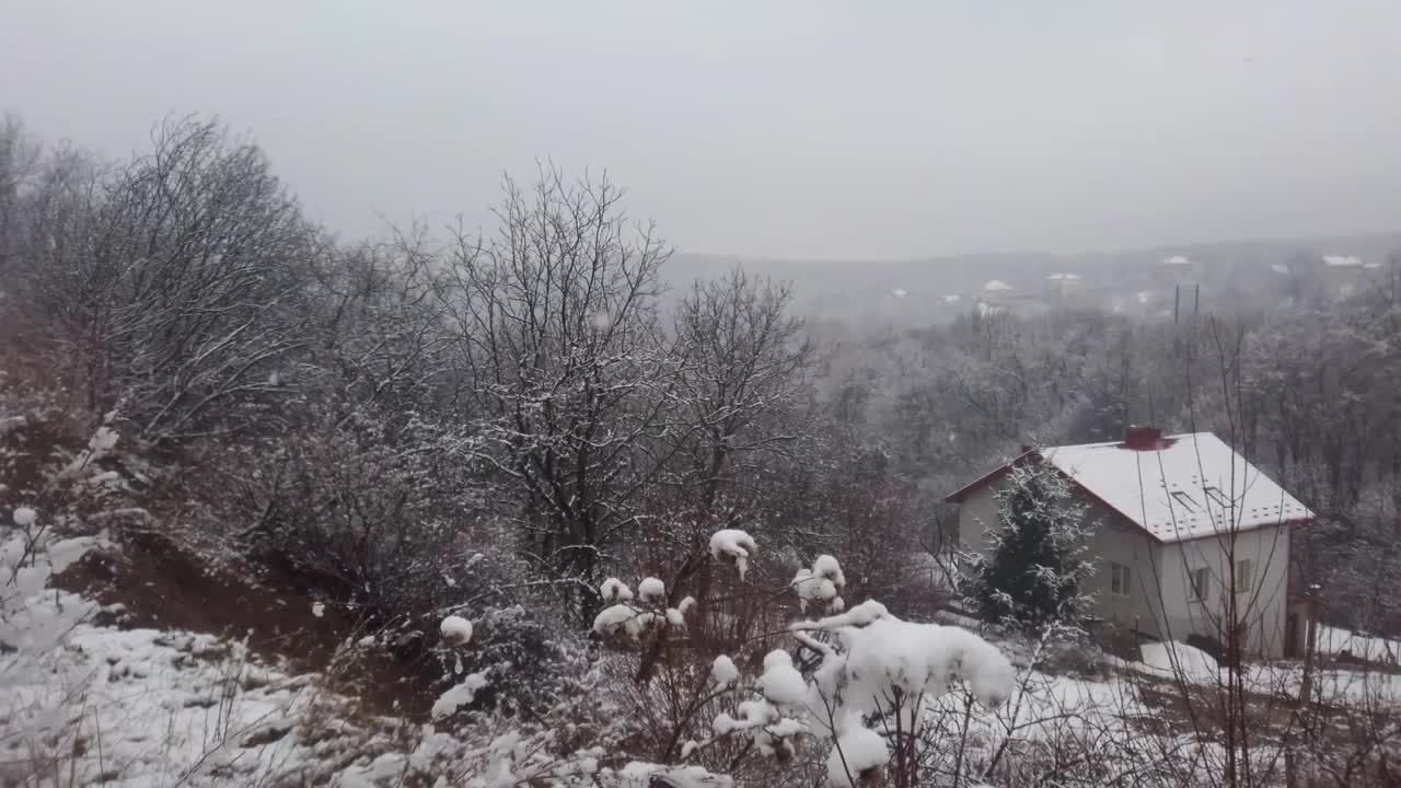 以树木和房屋为背景拍摄飘落的雪花。视频素材