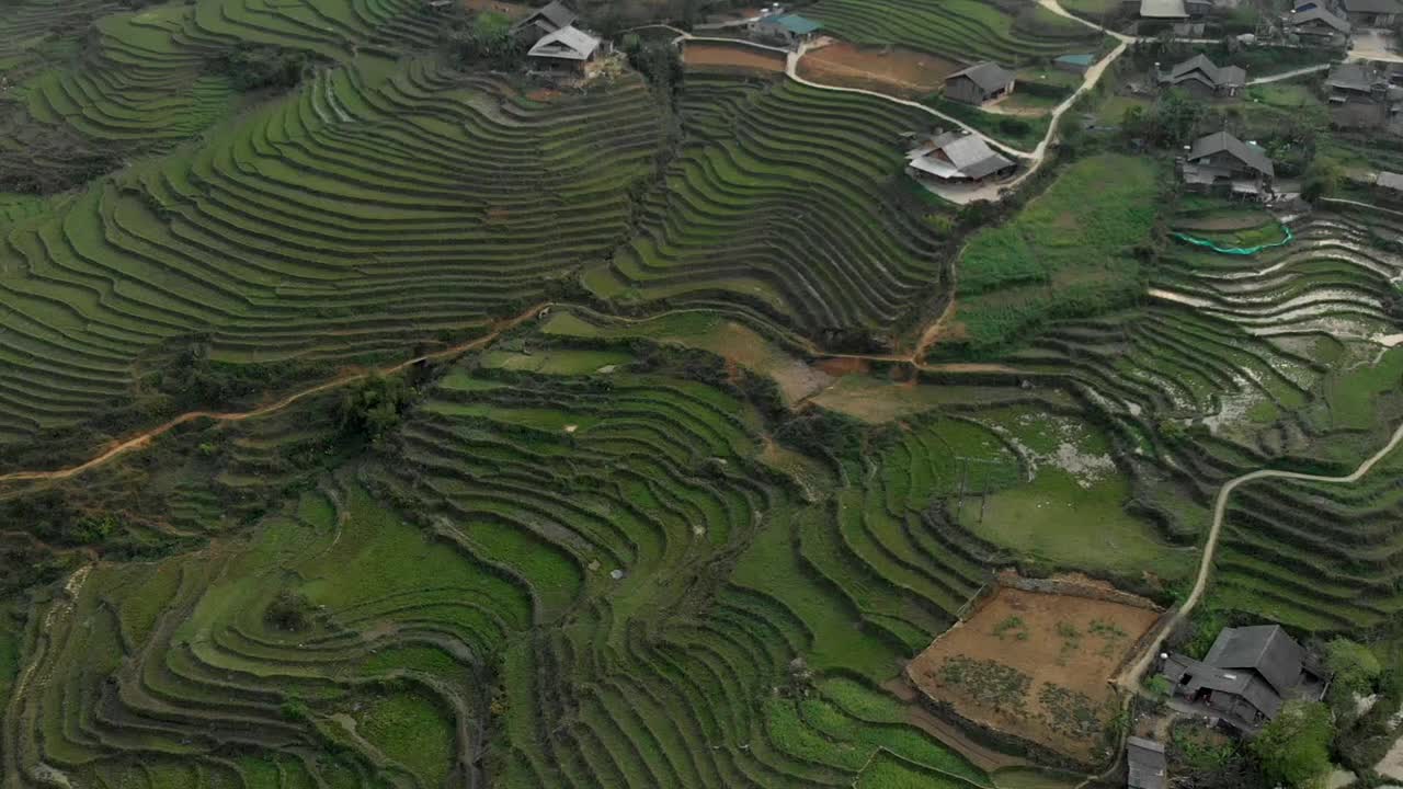 越南萨帕的梯田鸟瞰图视频素材