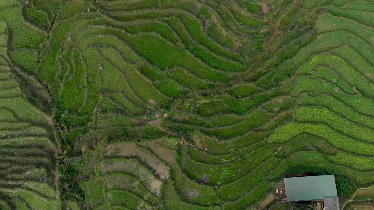 越南萨帕的梯田鸟瞰图视频素材