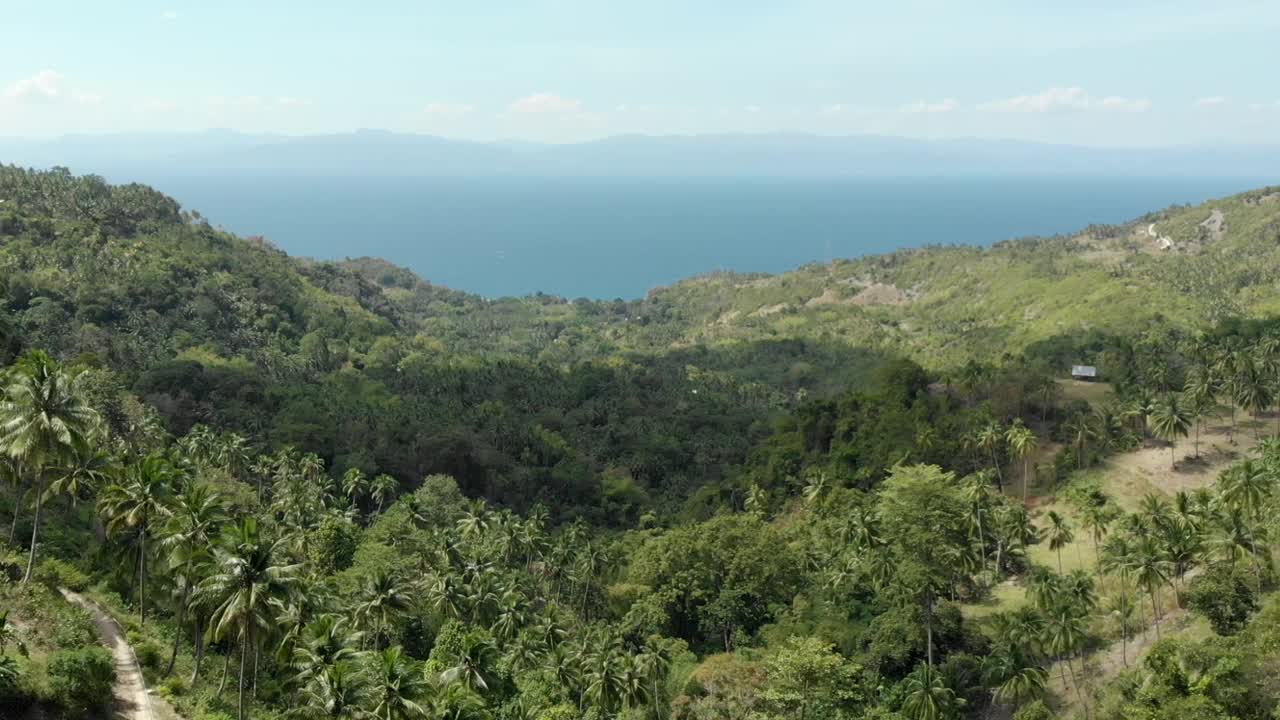 郁郁葱葱的丛林鸟瞰图与海洋在宿务的背景视频素材