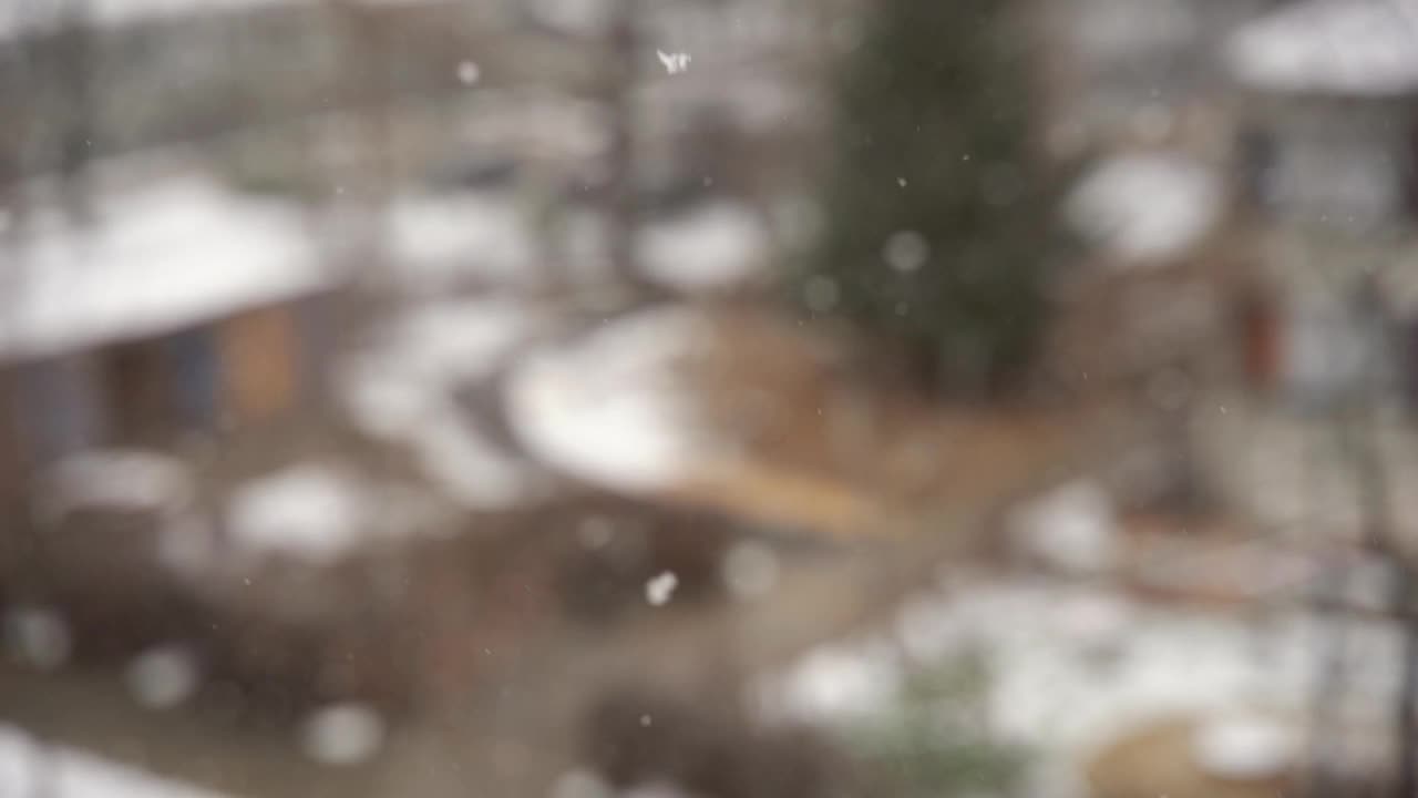 白色的雪花视频素材