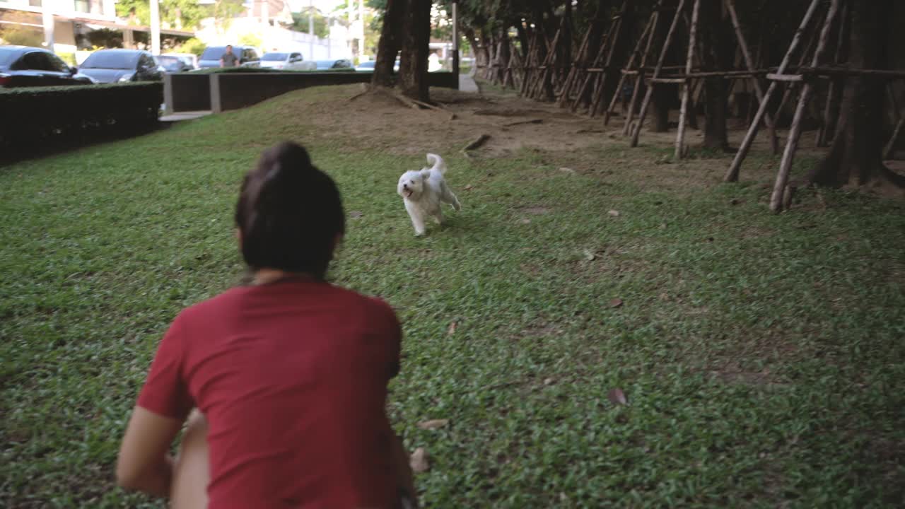 一个女人带着狗在公园里玩视频素材