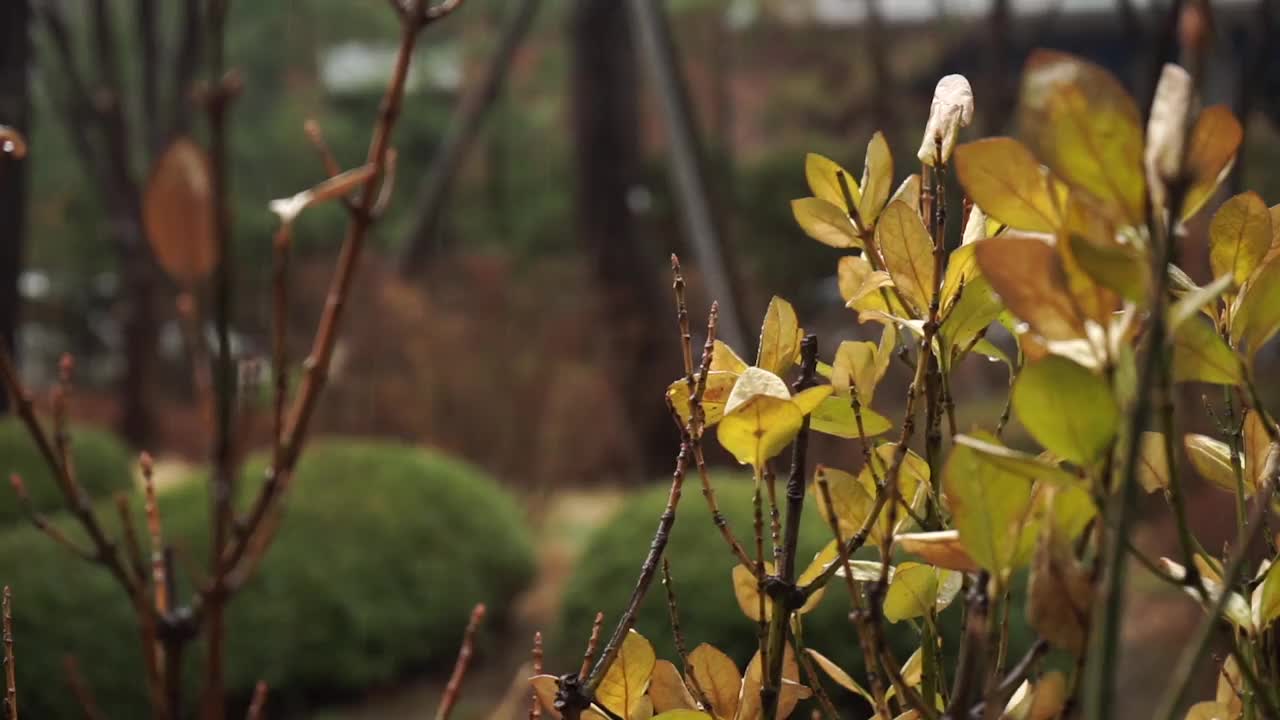 下雨天-离开/韩国视频素材