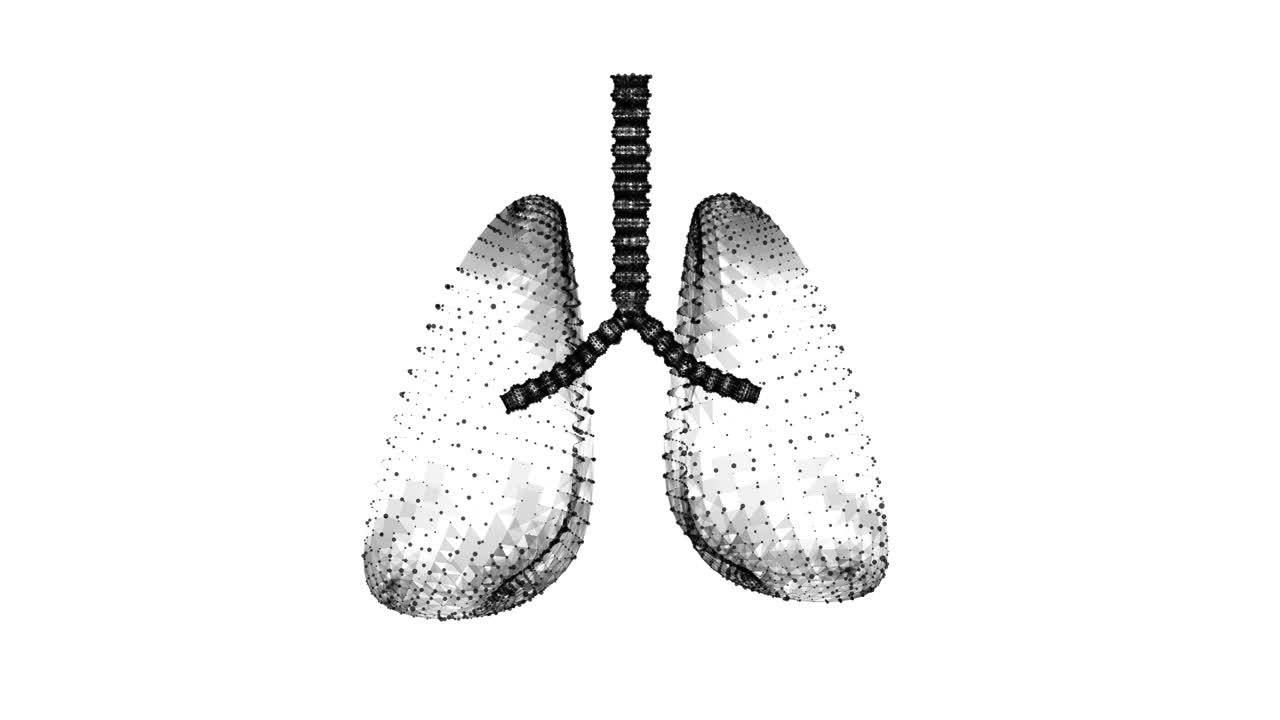 人肺有气管、支气管等内脏器官。肺医学科学技术概念。线框低多边形网格视频素材