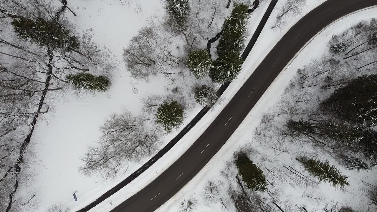 冰雪森林之路视频素材