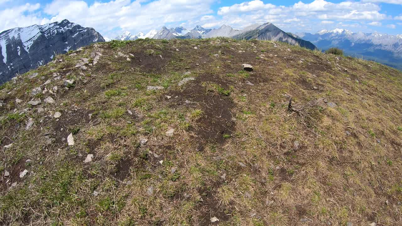 从加拿大阿尔伯塔省的萨雷尔岭鸟瞰上卡那纳斯基湖视频素材