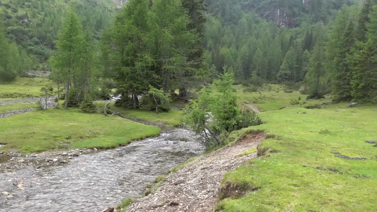 美丽的绿色景观与小溪树和山湖远足在雨中视频素材