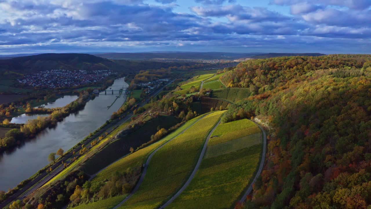 鸟瞰图，金色葡萄园的秋天从上方，地区Mainfranken,Würzburg，德国视频下载