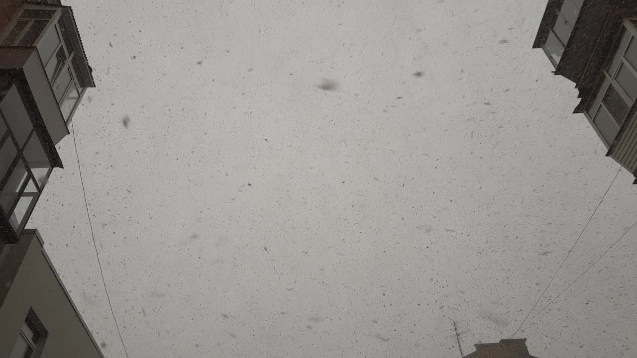 看房子间的天空，看飘落的雪花视频素材