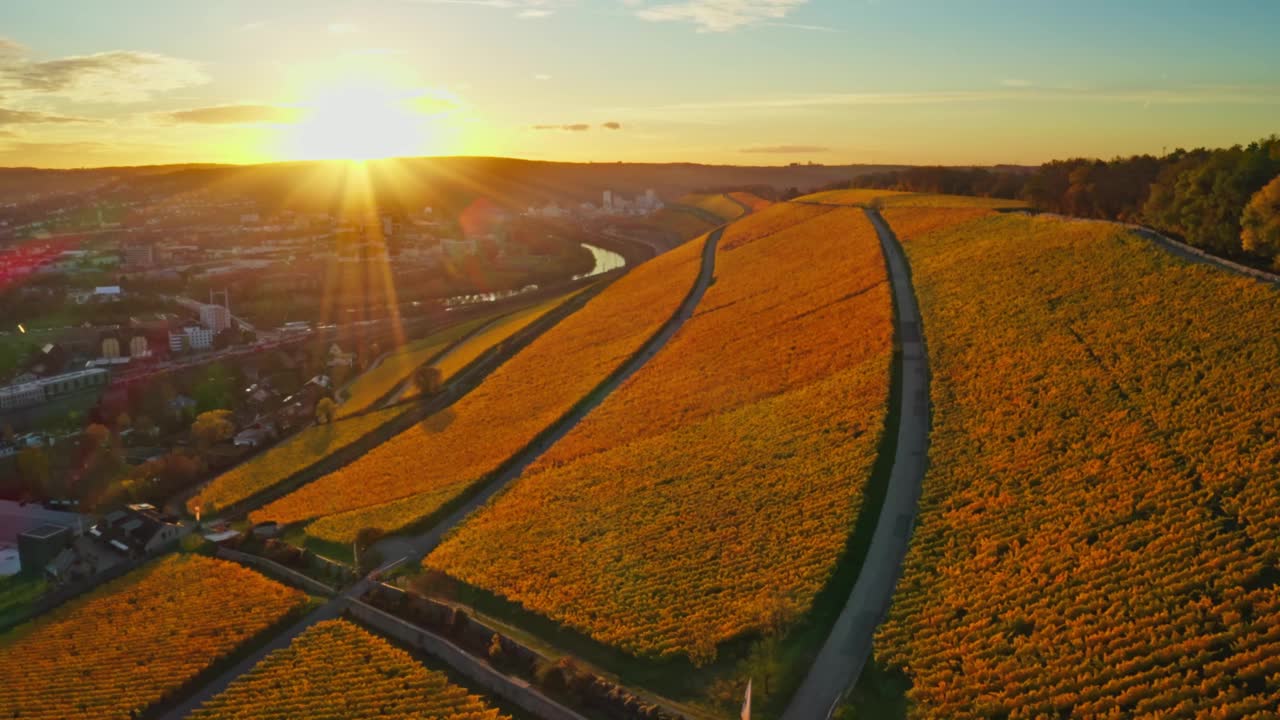 鸟瞰图，金色葡萄园的秋天从上方，地区Mainfranken,Würzburg，德国视频下载