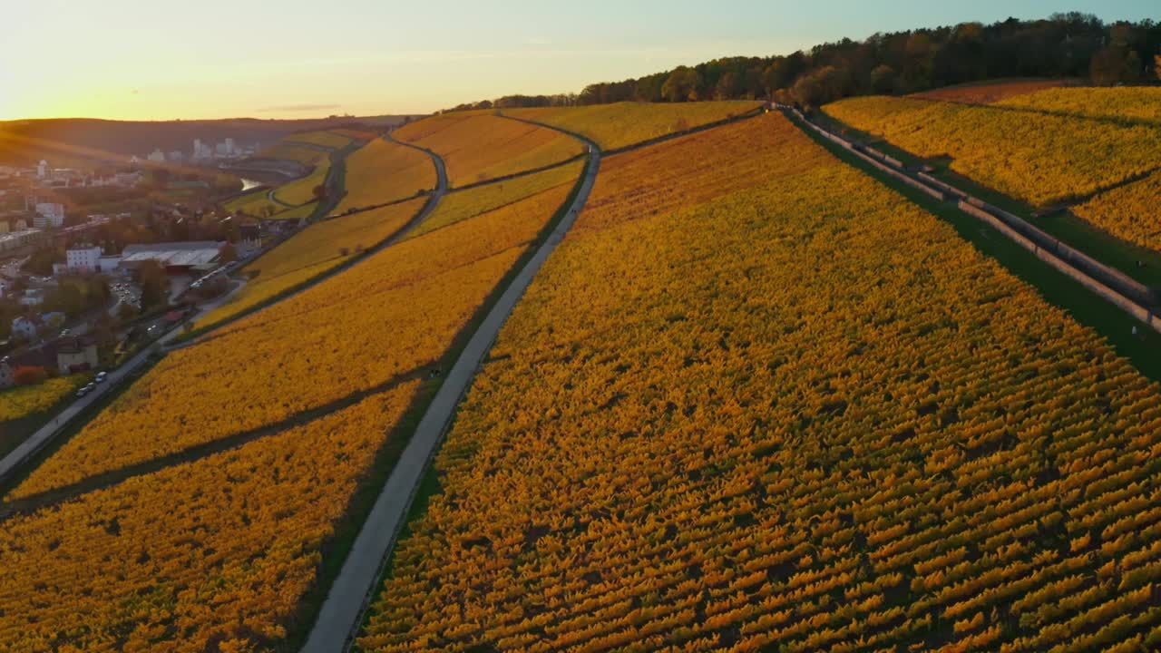 鸟瞰图，金色葡萄园的秋天从上方，地区Mainfranken,Würzburg，德国视频素材