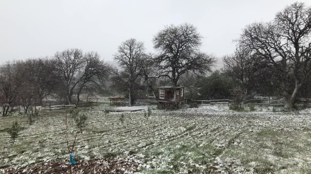 冬天的风景。白雪覆盖着河流和森林视频素材