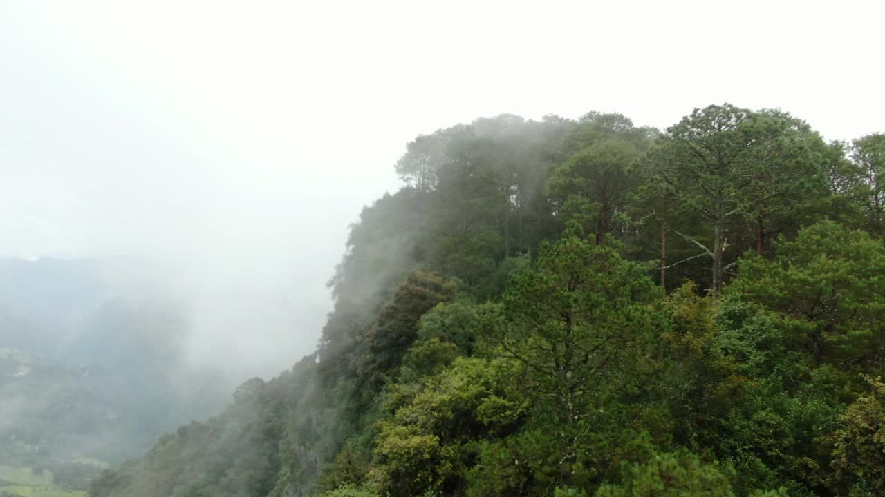 鸟瞰图的Sierra Gorda山脉视频下载