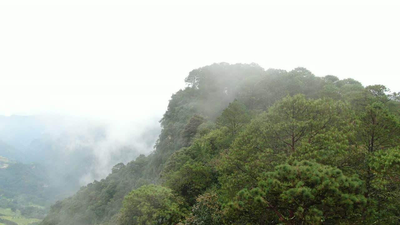 鸟瞰图的Sierra Gorda山脉视频素材