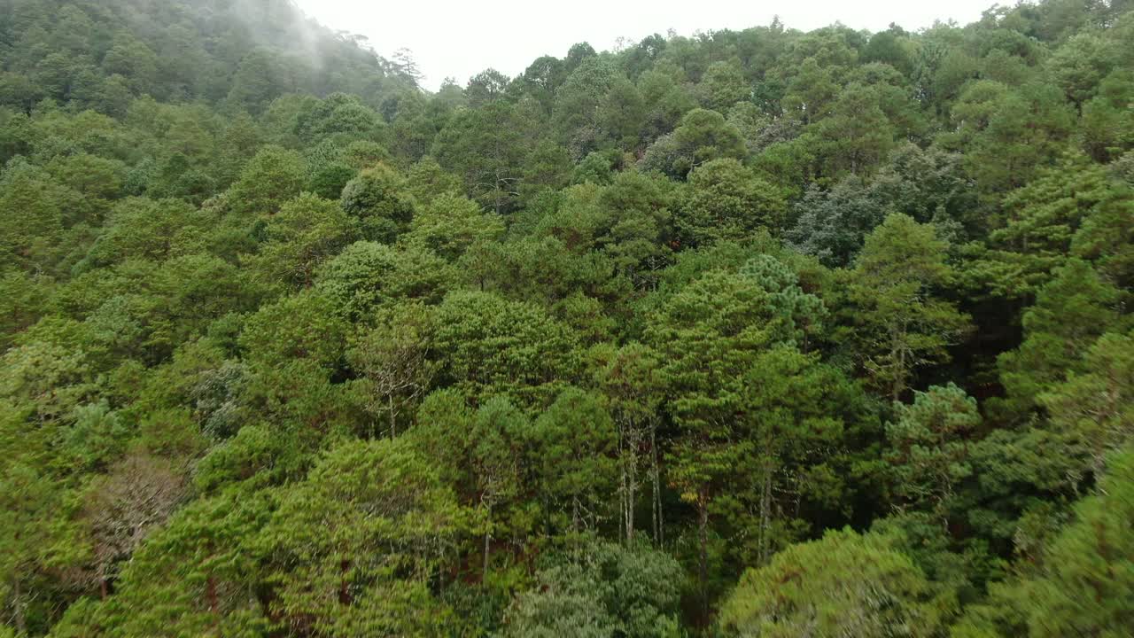 鸟瞰图的Sierra Gorda山脉视频下载