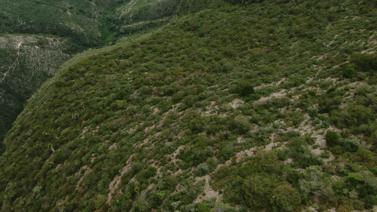 鸟瞰图的Sierra Gorda山脉视频素材