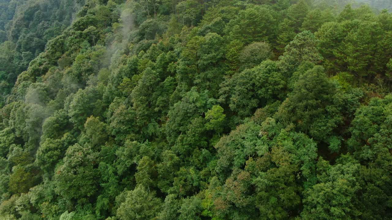 鸟瞰图的Sierra Gorda山脉视频素材