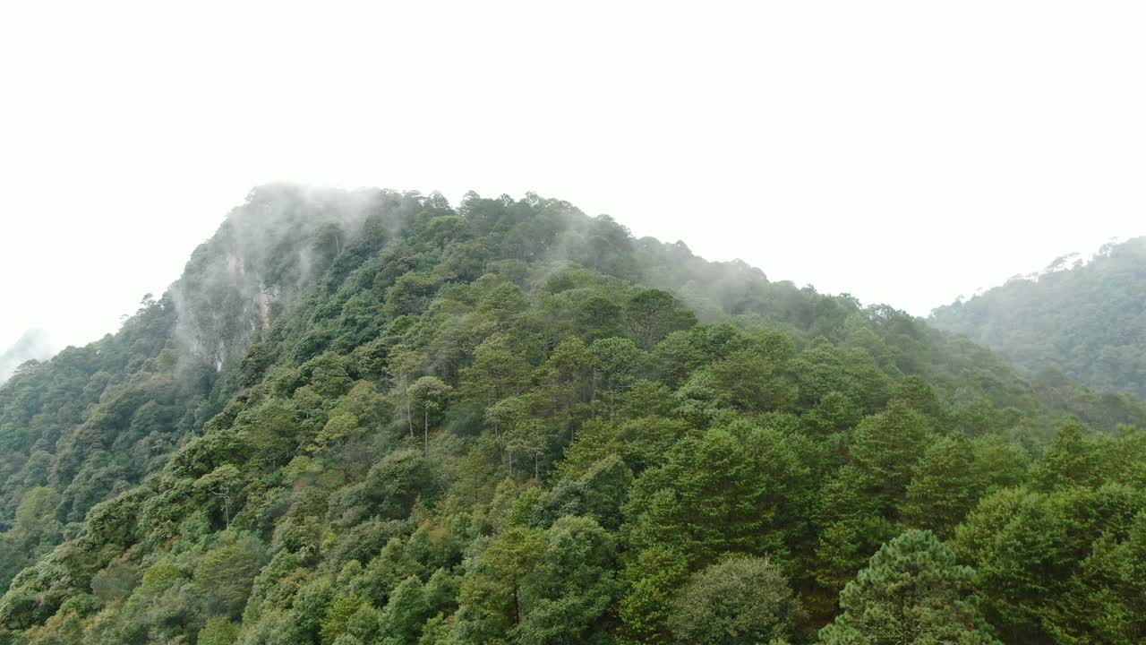 鸟瞰图的Sierra Gorda山脉视频素材