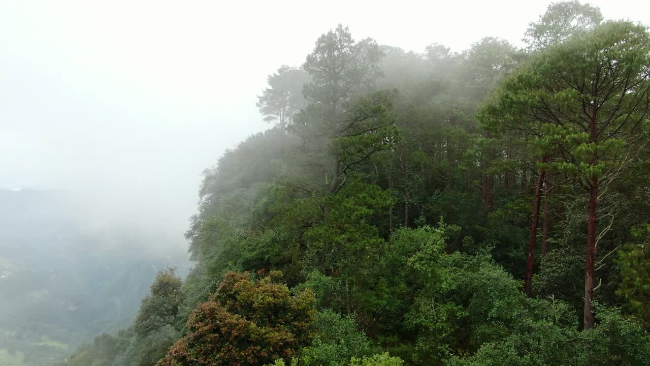 鸟瞰图的Sierra Gorda山脉视频素材