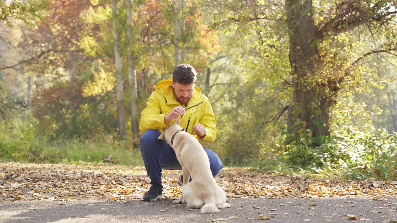 一个阳光明媚的秋日，一名男子和他的爱犬在公园里散步，遛狗的时候，狗狗高兴地伸出爪子。宠物视频素材