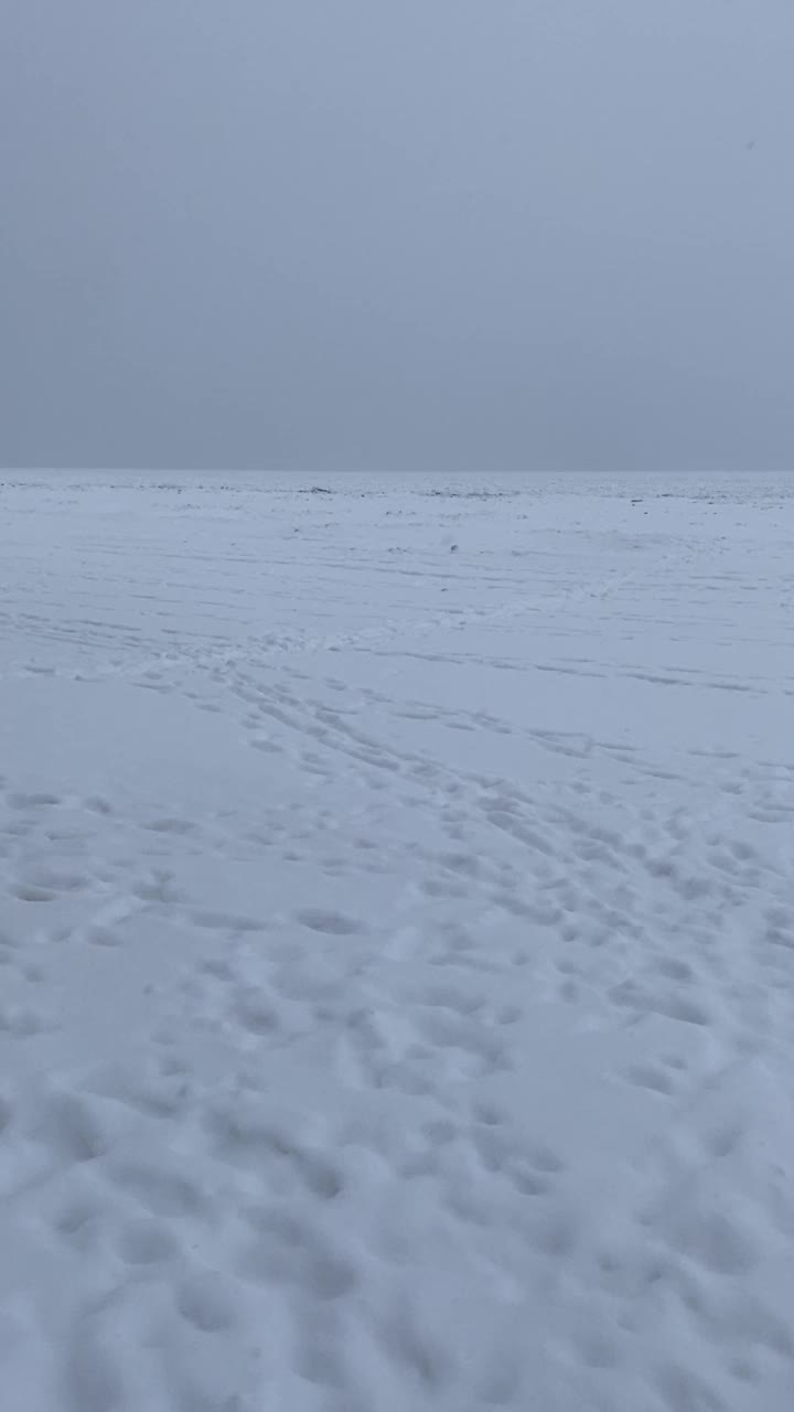 密歇根湖上阴天下雪天视频素材