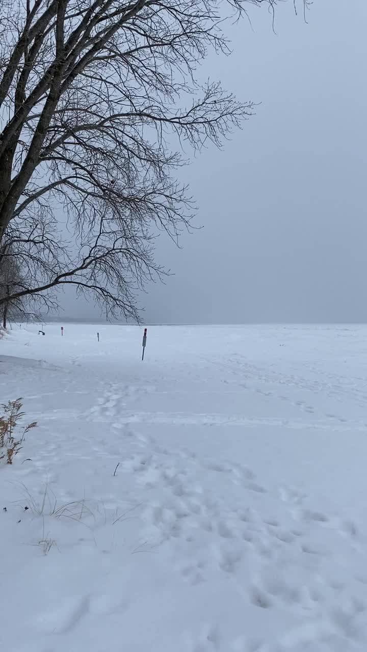 密歇根湖上阴天下雪天视频素材