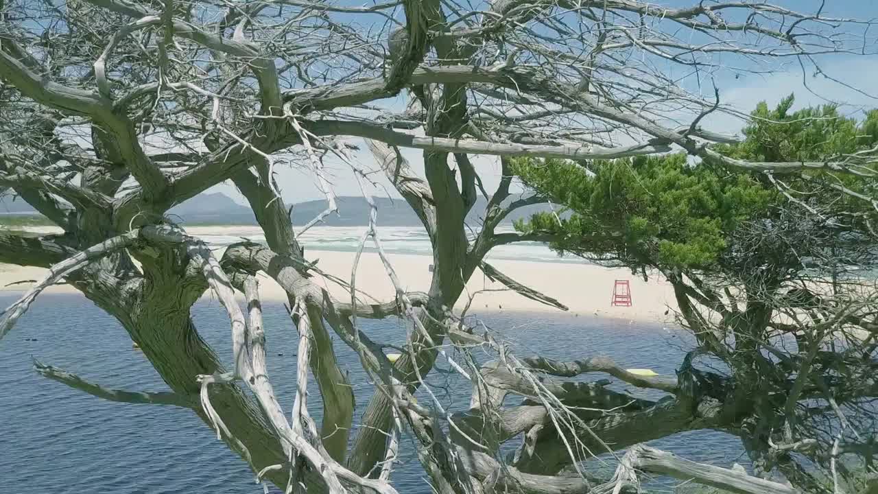 热带海滩景色与平静的海浪视频素材