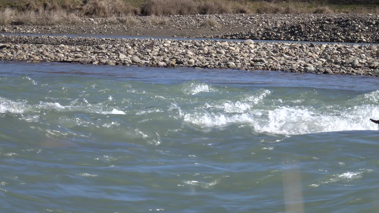 以河岸为背景的湍急的河水视频素材