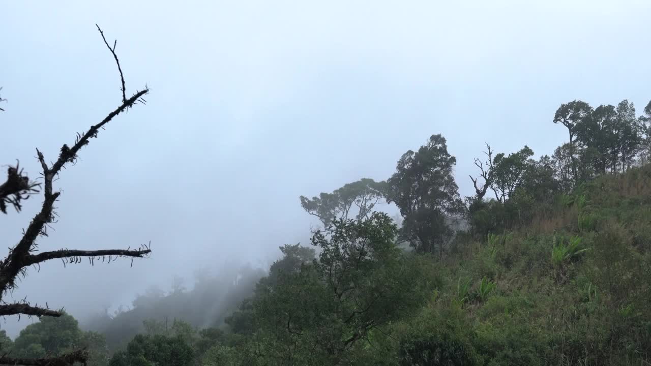 淡淡的白雾被风吹了进来，遮住了绿色的山，那部分山是看不见的，4k视频素材