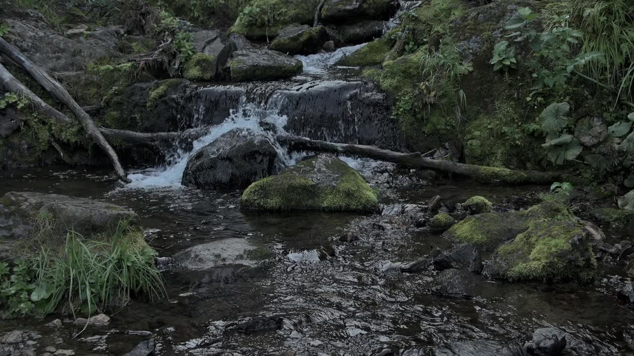 夏日森林中的小瀑布。河床上覆盖着岩石和苔藓。潮湿的树干躺在小溪里。水溅到岩石上视频素材