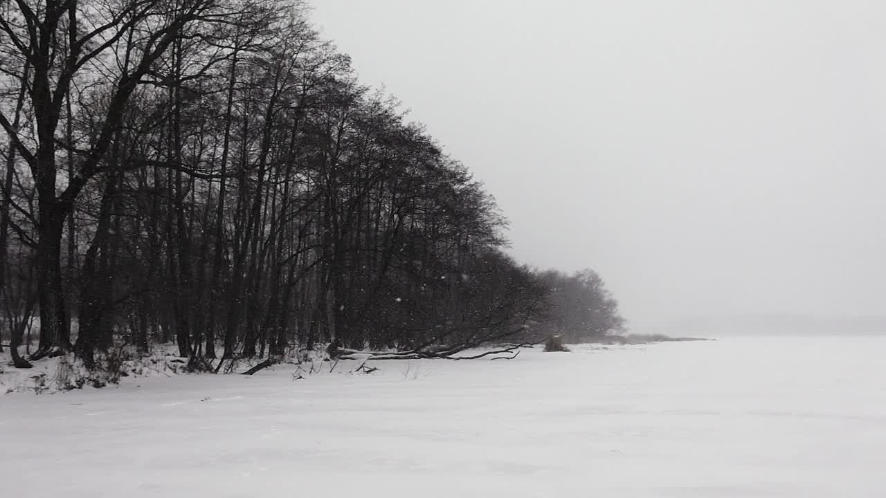 在飘落的雪花中，一条结冰的河流被冰雪覆盖，河岸上生长着树木视频素材