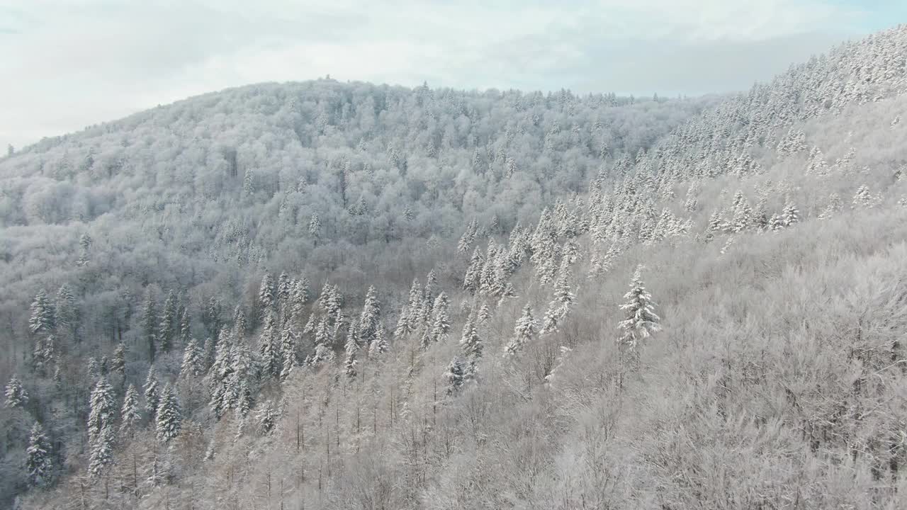 飞过一个陡峭的山坡与积雪的树木-鸟瞰图视频素材