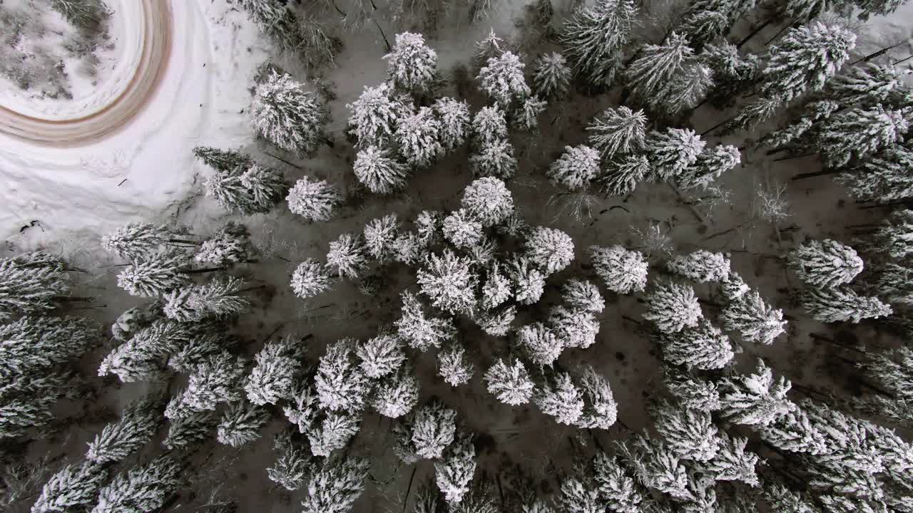 空中镜头的积雪的针叶林和徘徊的蜿蜒的道路在冬天，从鸟瞰俯视图垂直拍摄视频素材