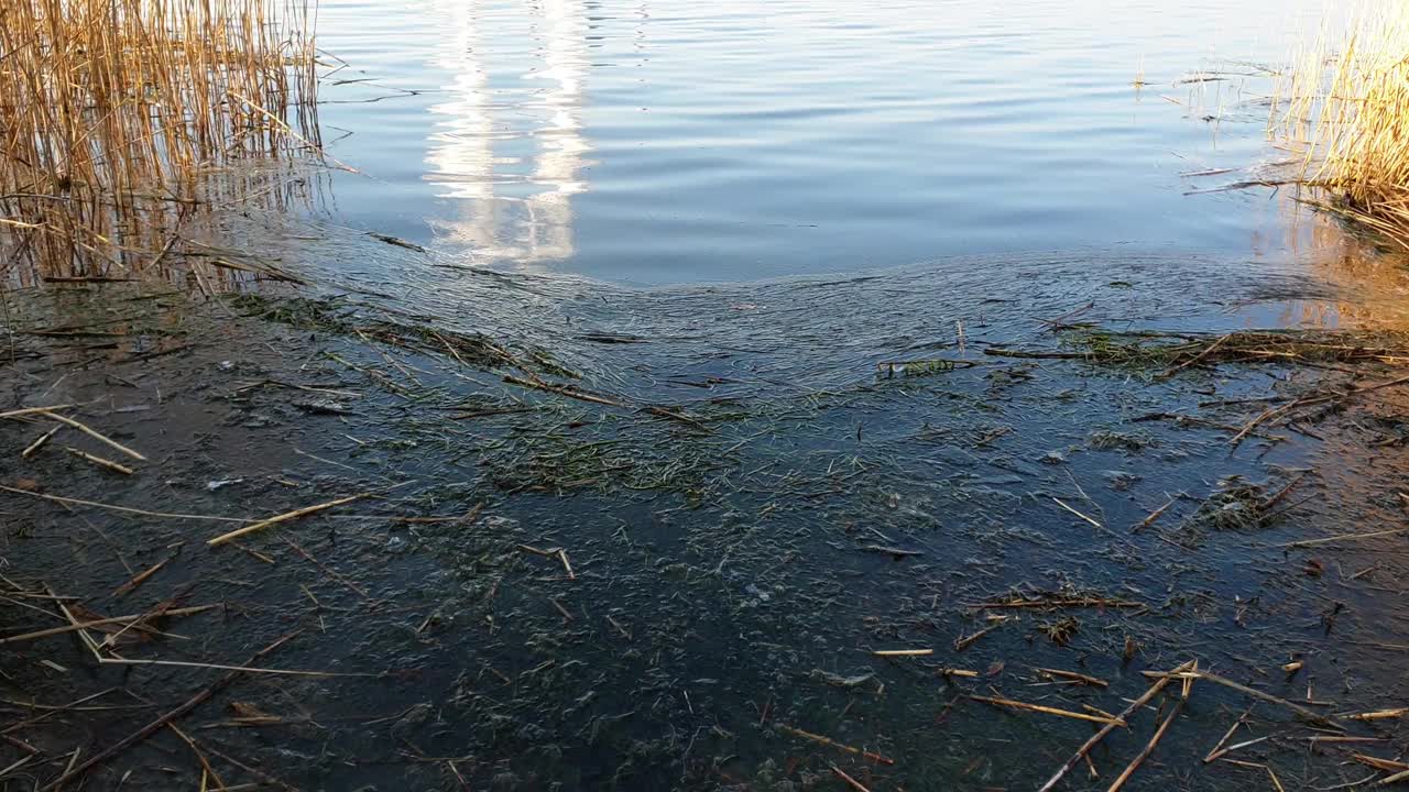 全景与燃煤电厂位于湖畔，Pątnów，波兰。视频素材