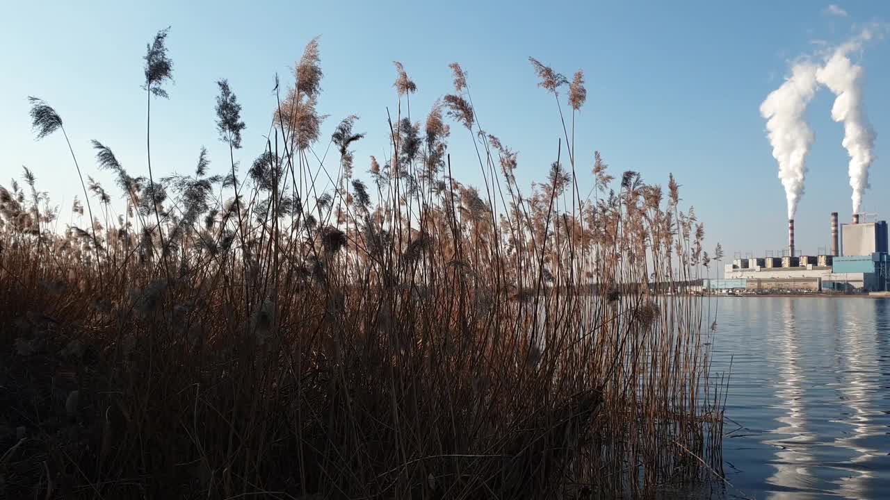 全景与燃煤电厂位于湖畔，Pątnów，波兰。视频素材