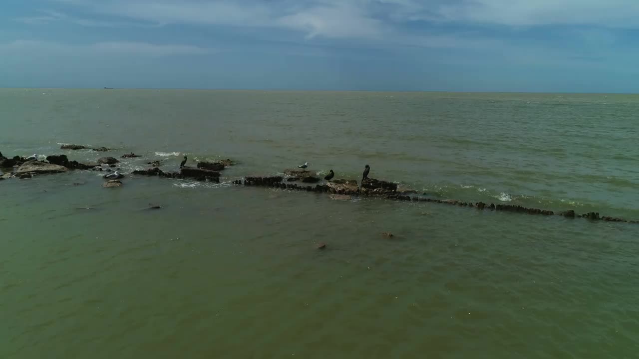 在公海上，海鸥和鸬鹚坐在岩石上。视频素材