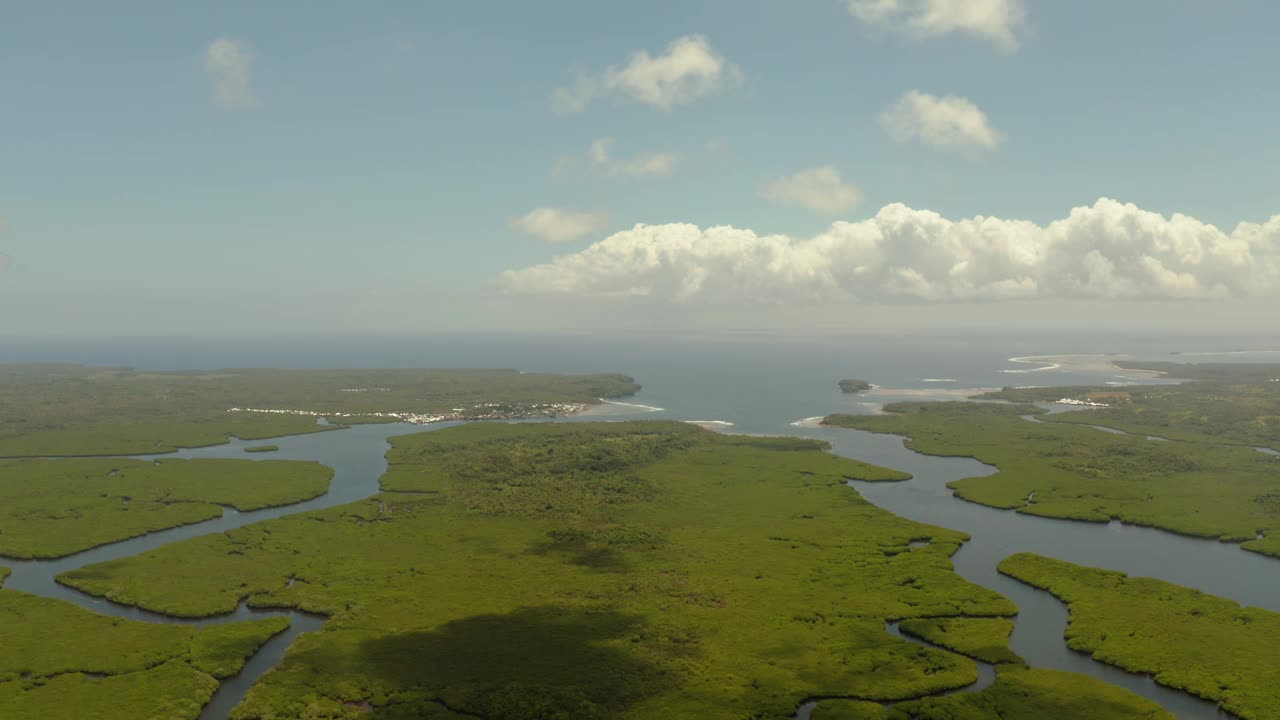 红树林和河流鸟瞰图视频素材