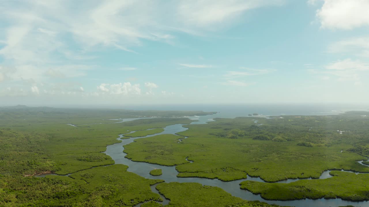 红树林和河流鸟瞰图视频素材