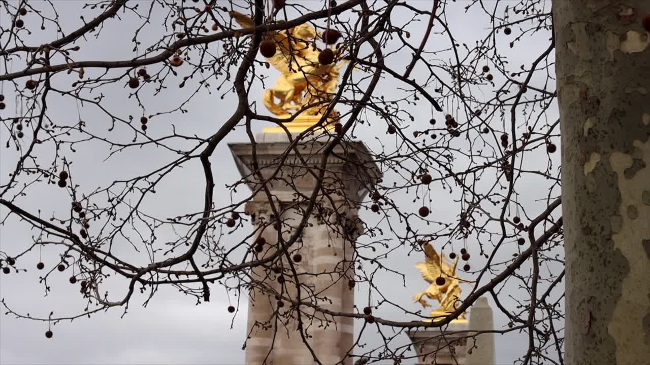 树枝上没有叶子，冬天的亚历山大三世雕像前的桥视频素材