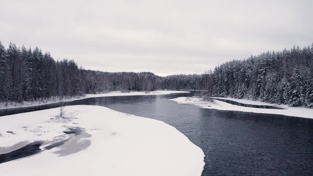 无人机在冬天飞过森林和河流，松树在皑皑白雪下翱翔视频素材