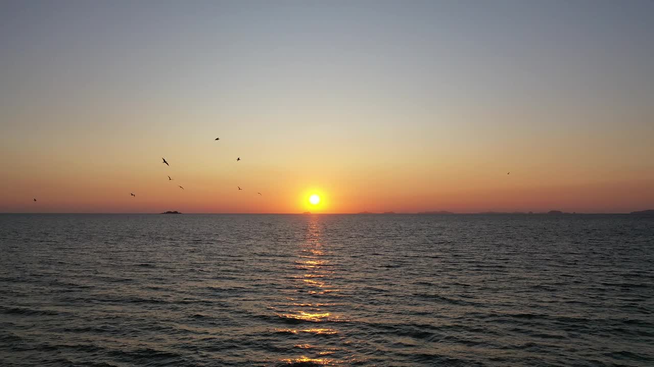 日落时分，海滩上的海鸥在阳光和天空中飞翔视频素材