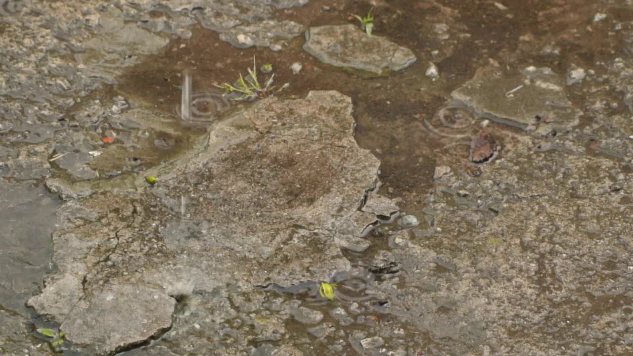 多雨的天气。雨滴和水坑。视频素材