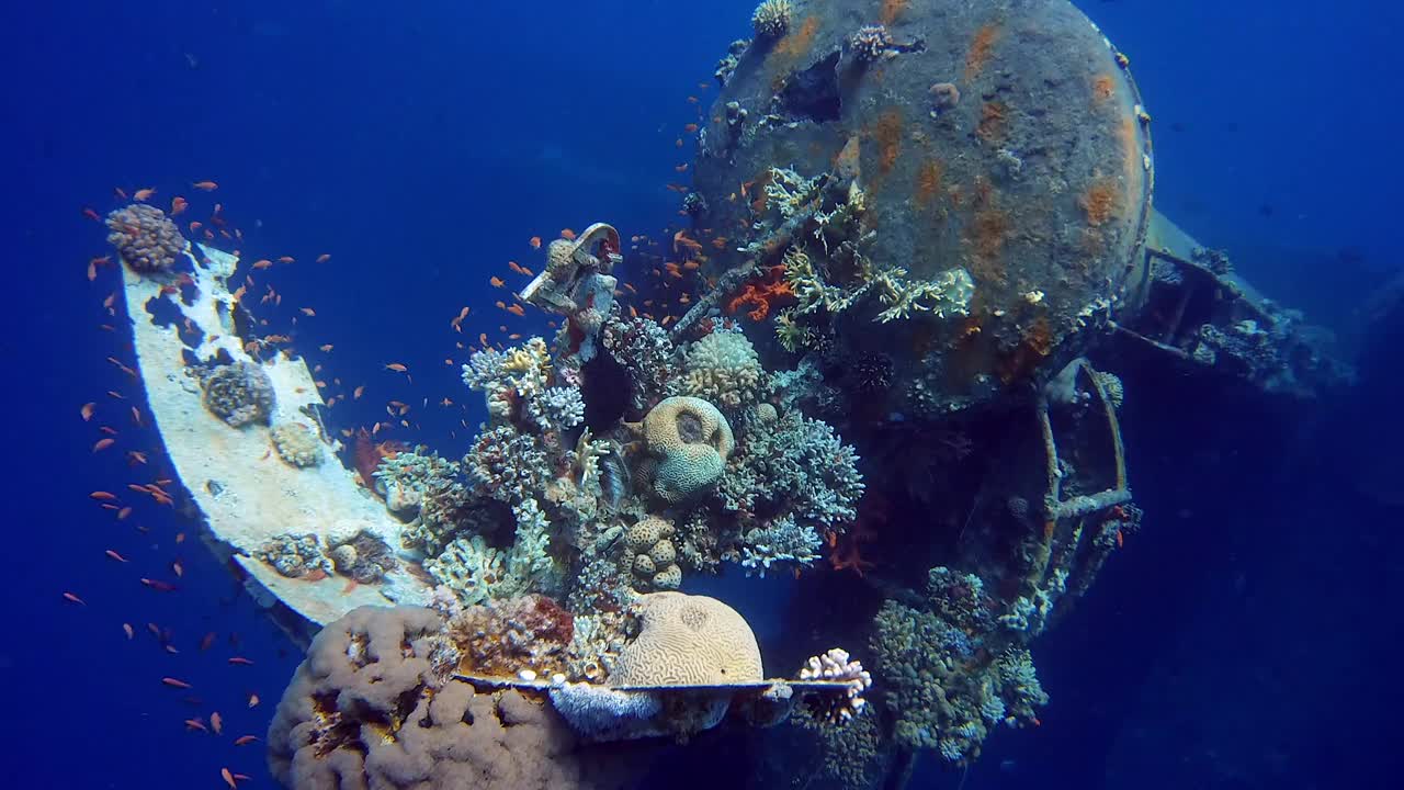 海底残骸视频素材