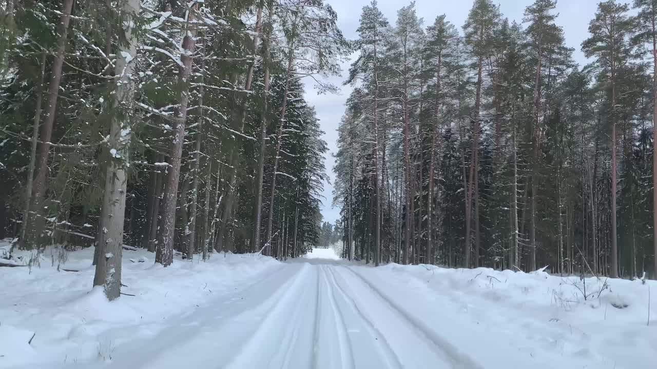 驾车沿着风景优美的冬季森林，松树覆盖着雪，走近冷杉巷视频素材