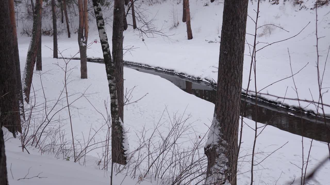 风景与雪树，河与水在寒冷的傍晚视频素材