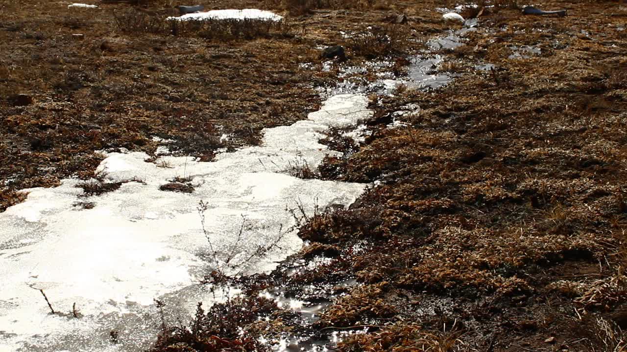 春天，流水融化山坡上的雪视频素材